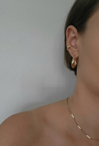 Maria Earcuff
